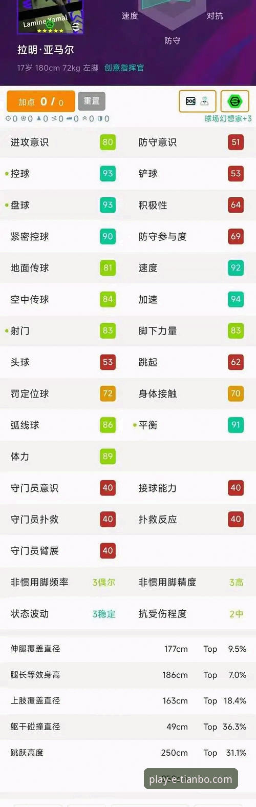 世界杯观赛必备技巧：18岁亚马尔创纪录，天博体育平台球迷的深度复盘指南